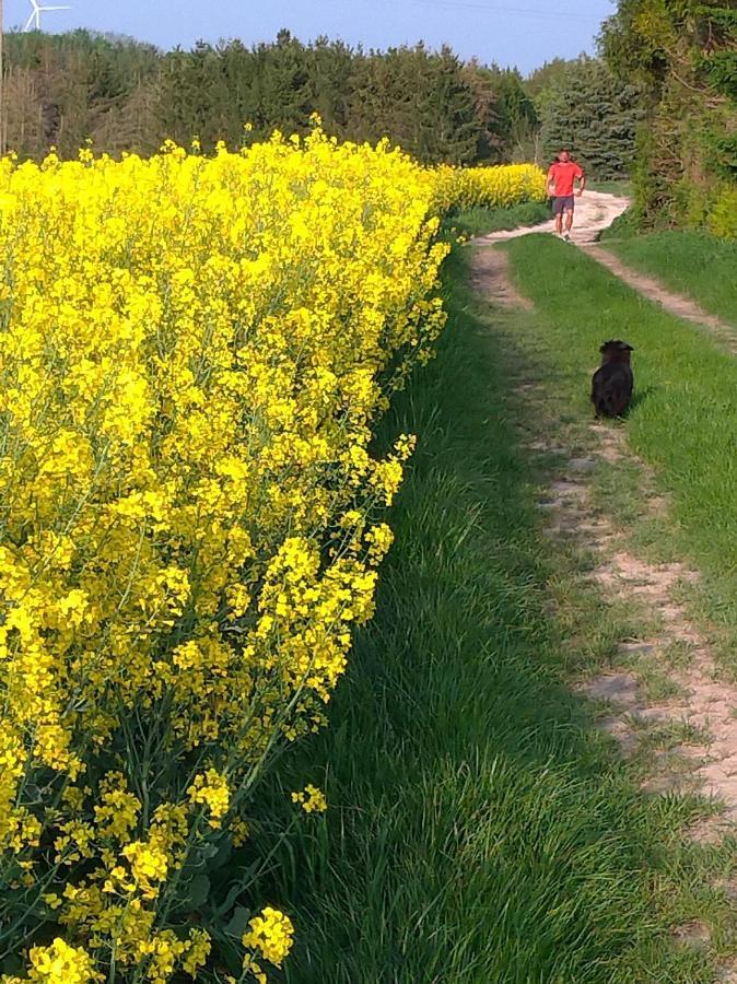Gite Au Grenier Cosy Lor Buitenkant foto